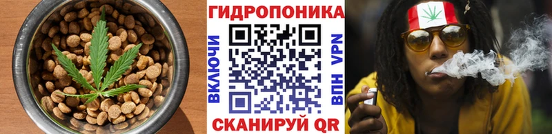 Canna-Cookies конопля  Черняховск 