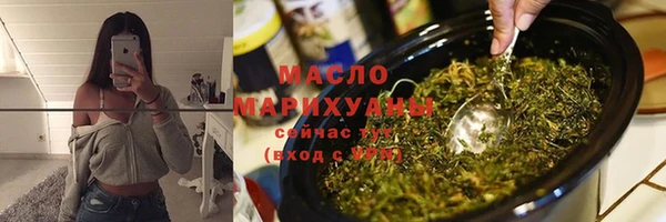 индика Киреевск