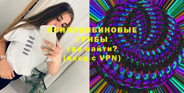 PSILOCYBIN Баксан