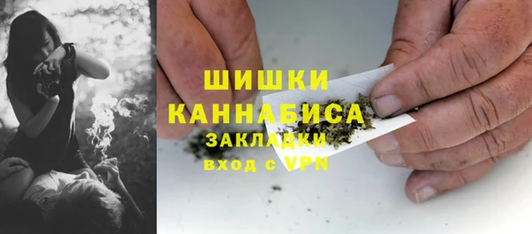 PSILOCYBIN Баксан