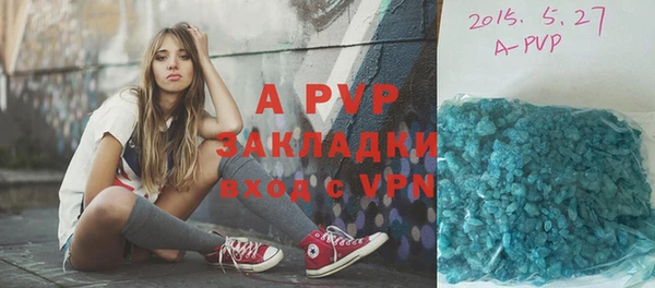 PSILOCYBIN Баксан