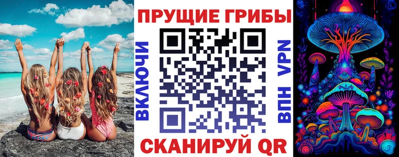 Псилоцибиновые грибы Magic Shrooms  Черняховск 
